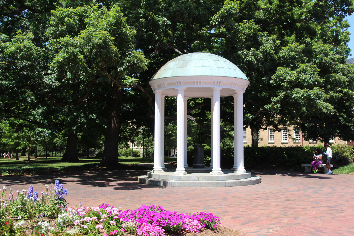 Rotunda at UNC Chapel Hill with flowers